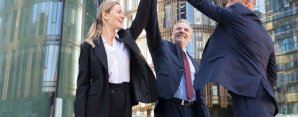 business consultants